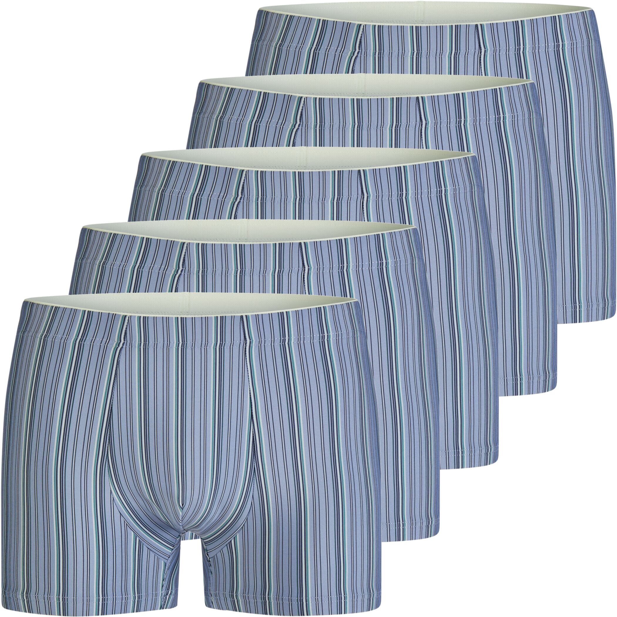 City Life Micro Pant 12